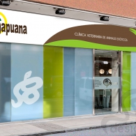 Papuana