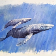 Ballenas-I