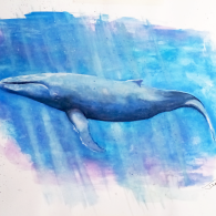 Ballenas II