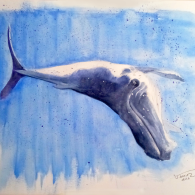 Ballenas III