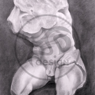 Torso Belvedere