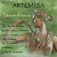 ARTEMISA_finish