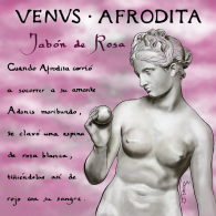 VENUS AFRODITA_finish